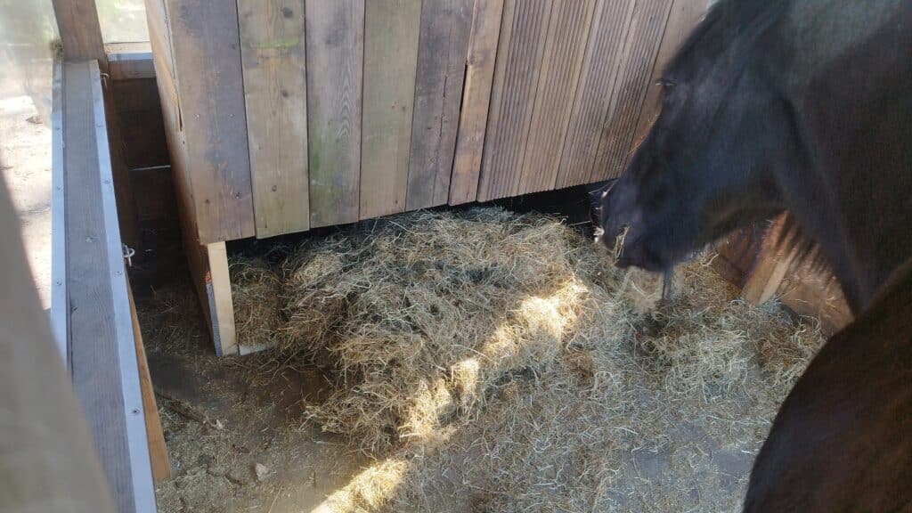 Afbeelding #3 van Chantal