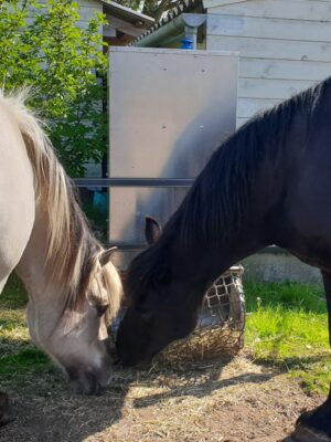 Hooivoerautomaat Haybutler (vrijstaand model) - Afbeelding 5