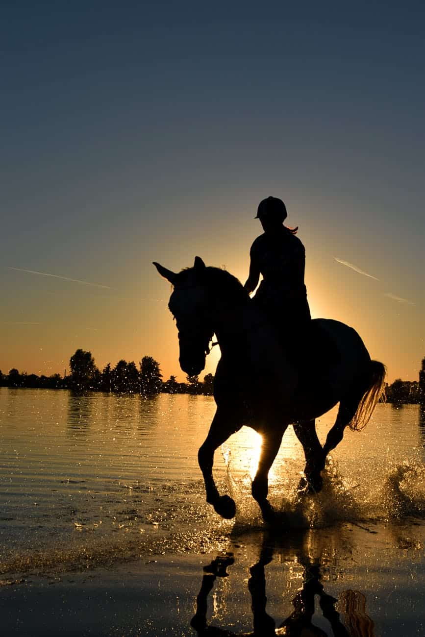Silhouette einer Person, die auf einem Pferd auf einem Gewässer reitet, bei gelbem Sonnenuntergang