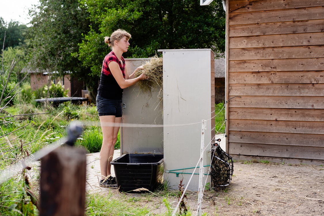 Woman fills Haybutler automatic horse feeder