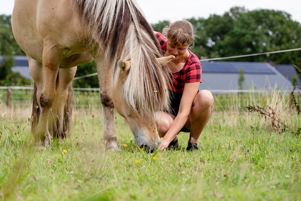 Woman with fjord on pasture