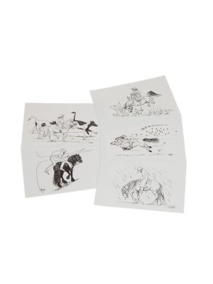 Ansichtkaarten uit het boek paarden in pen en inkt