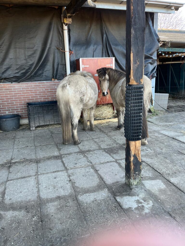 Haybutler DIY (zelfbouw hooivoerautomaat) bij schuilstal waar 2 ponies uit eten